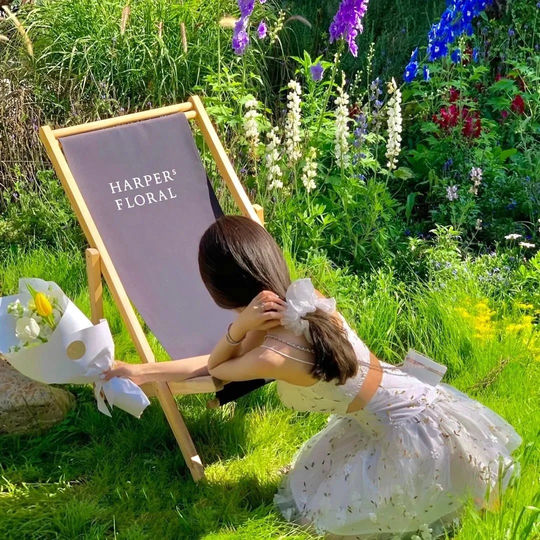 月光光心慌慌：终结