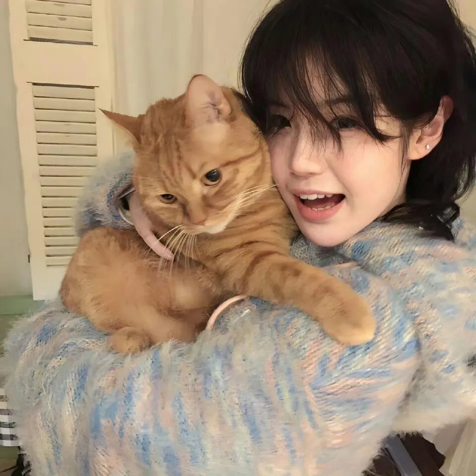 我家小妹是车神